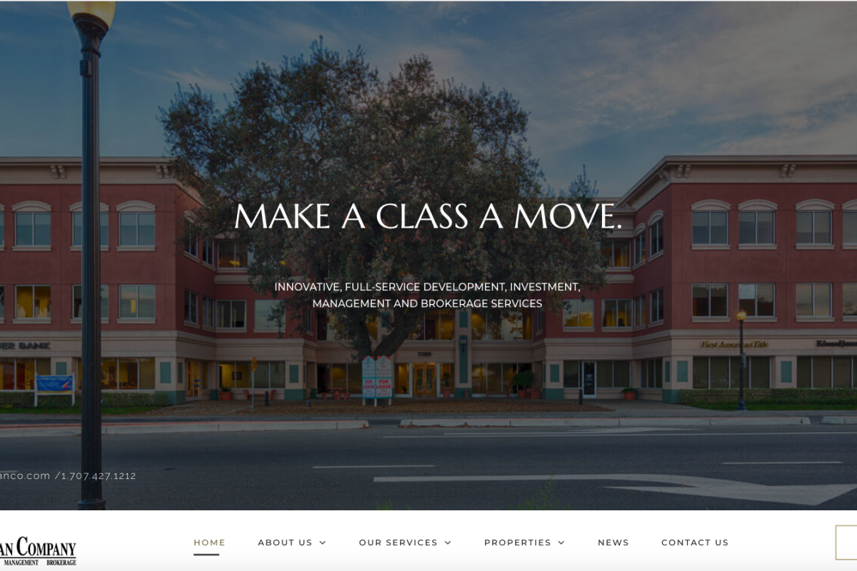 wisemanco.com website screenshot