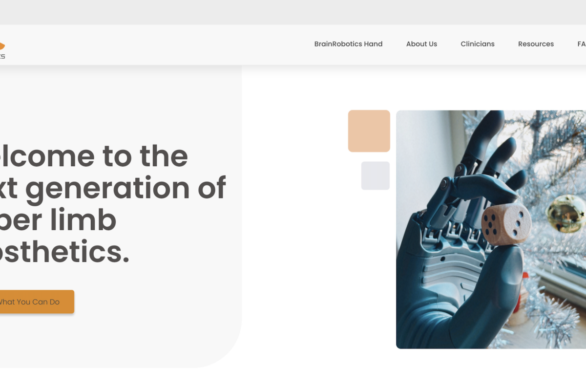 brainrobotics.com website screenshot